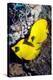 Golden Butterflyfish Pair-Georgette Douwma-Premier Image Canvas