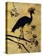 Golden Crowned Crane-Filippo Ioco-Stretched Canvas