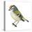 Golden-Crowned Kinglet (Regulus Satrapa), Birds-Encyclopaedia Britannica-Stretched Canvas