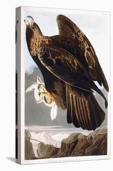 Golden Eagle, 1833-John James Audubon-Premier Image Canvas