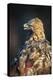 Golden eagle (Aquila chrysaetos), Sweden, Scandinavia, Europe-Janette Hill-Premier Image Canvas