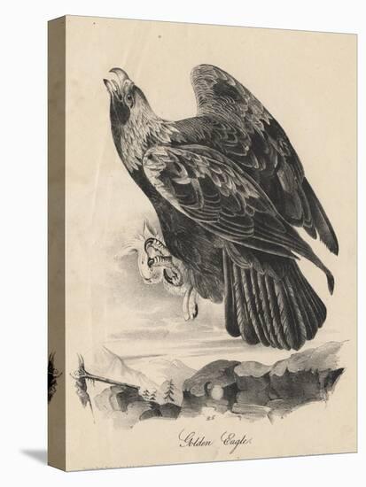 Golden Eagle, Litho by J.T. Bowen, from 'Birds of America', 1840-John James Audubon-Premier Image Canvas