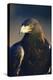 Golden Eagle-W^ Perry Conway-Premier Image Canvas