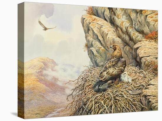 Golden Eagles at Eyrie-Carl Donner-Premier Image Canvas