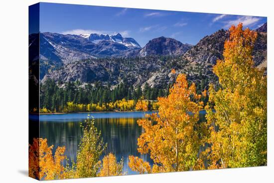 Golden Fall Aspen at June Lake, Inyo National Forest, Sierra Nevada Mountains, California, Usa-Russ Bishop-Premier Image Canvas