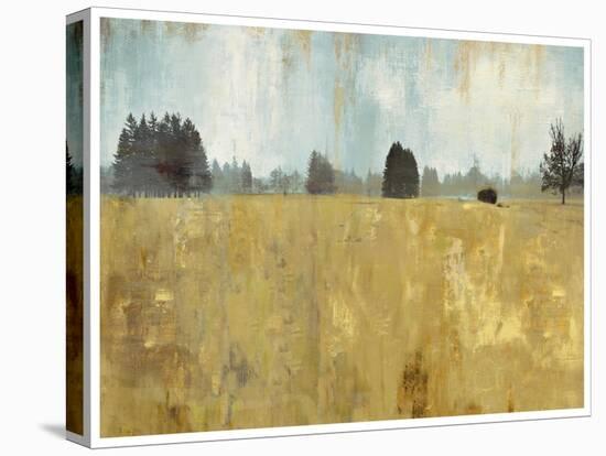 Golden Fields-Andrew Michaels-Stretched Canvas