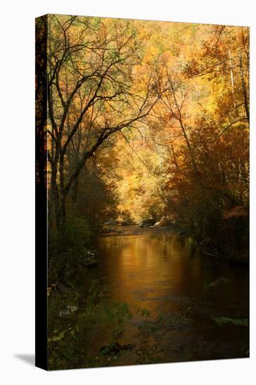 Golden foliage reflected in mountain creek, Smoky Mountain National Park, Tennessee, USA-Anna Miller-Premier Image Canvas