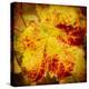 Golden Foliage-Jessica Rogers-Premier Image Canvas