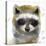 Golden Forest - Raccoon-Color Bakery-Premier Image Canvas