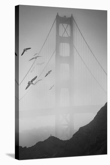 Golden Gate Pier and Birds II-Moises Levy-Stretched Canvas