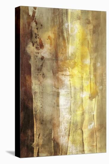 Golden Glow I-Sisa Jasper-Stretched Canvas