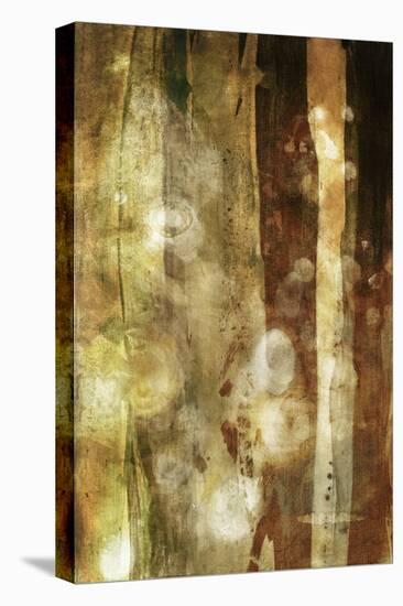 Golden Glow II-Sisa Jasper-Stretched Canvas