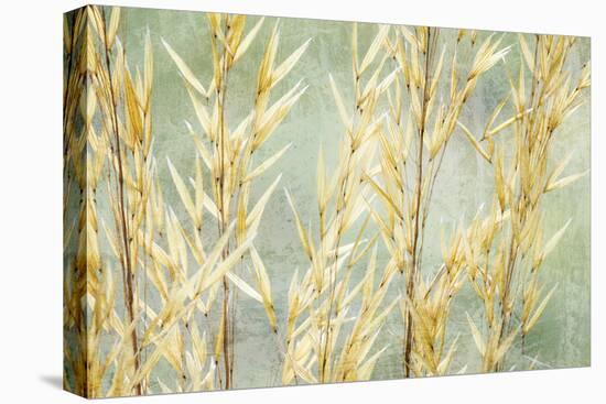 Golden Grasses-Kathy Mahan-Premier Image Canvas