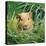 Golden Guinea Pig in Long Grass, UK-Jane Burton-Premier Image Canvas