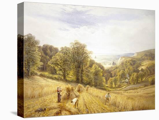 Golden Harvest on the South Coast-Alfred Augustus Glendenning-Premier Image Canvas