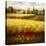 Golden Harvest-Hulsey-Stretched Canvas