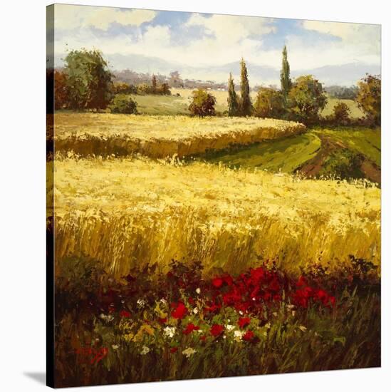 Golden Harvest-Hulsey-Stretched Canvas