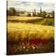 Golden Harvest-Hulsey-Stretched Canvas