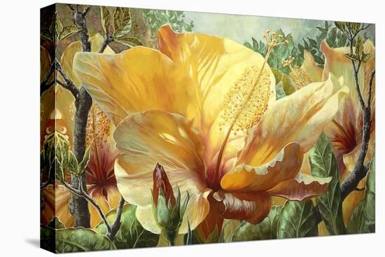 Golden Hibiscus-Elizabeth Horning-Premier Image Canvas
