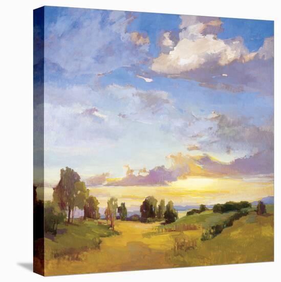 Golden Horizons-Vicki Mcmurry-Stretched Canvas