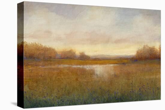 Golden Hour II-Tim O'toole-Stretched Canvas