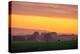 Golden Hour, Petaluma Hills, Farm Scene, Sonoma County-Vincent James-Premier Image Canvas