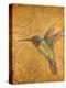Golden Hummingbird II-Patricia Pinto-Stretched Canvas