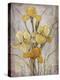 Golden Irises I-Tim O'toole-Stretched Canvas