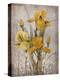 Golden Irises II-Tim O'toole-Stretched Canvas