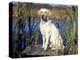 Golden Labrador Retriever Dog Portrait, Sitting by Water-Lynn M. Stone-Premier Image Canvas