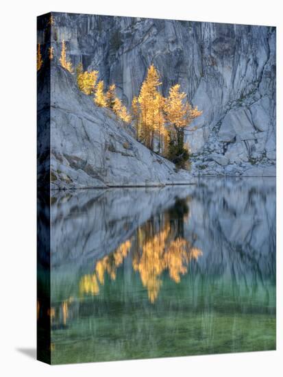 Golden Larch Trees, Enchantment Lakes, Alpine Lakes Wilderness, Washington, Usa-Jamie & Judy Wild-Premier Image Canvas