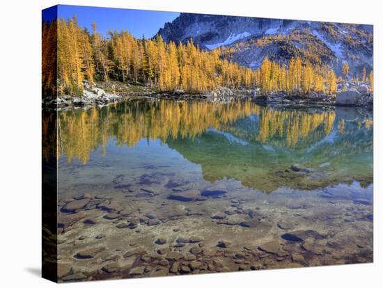 Golden Larch Trees, Enchantment Lakes, Alpine Lakes Wilderness, Washington, Usa-Jamie & Judy Wild-Premier Image Canvas