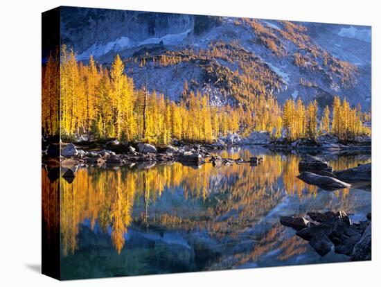 Golden Larch Trees Reflected in Leprechaun Lake, Enchantment Lakes, Alpine Lakes Wilderness-Jamie & Judy Wild-Premier Image Canvas