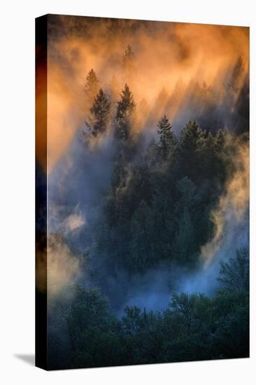 Golden Light Beams & Fog Abstract Mount Hood Wilderness Sandy Oregon Pacific Northwest-Vincent James-Premier Image Canvas