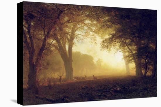 Golden Light of California-Albert Bierstadt-Premier Image Canvas