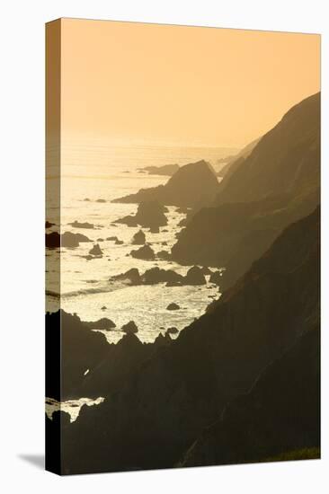 Golden Light on Coastal Hills of Califonia's Big Sur-Anna Miller-Premier Image Canvas