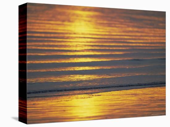 Golden Light on Ripples on the Sea Shore-David Tipling-Premier Image Canvas