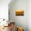 Golden Light-Mathilde Guillemot-Premier Image Canvas displayed on a wall