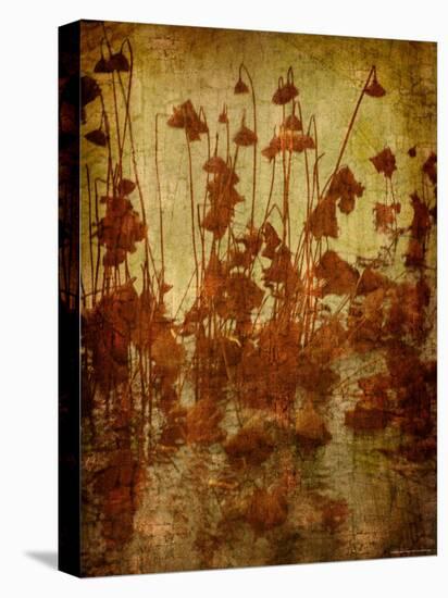 Golden Lotus-Lydia Marano-Premier Image Canvas