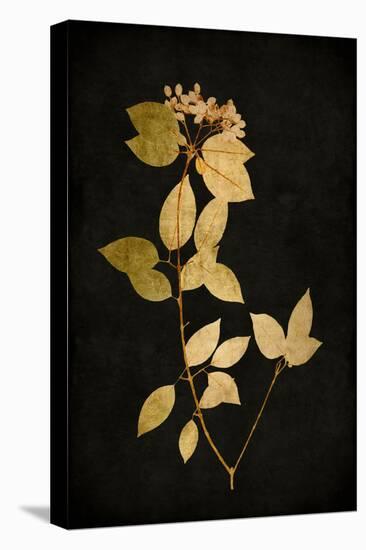 Golden Nature VI-Kate Bennett-Stretched Canvas