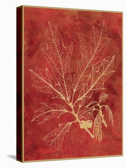 Golden Oak I-Sarah Chilton-Stretched Canvas
