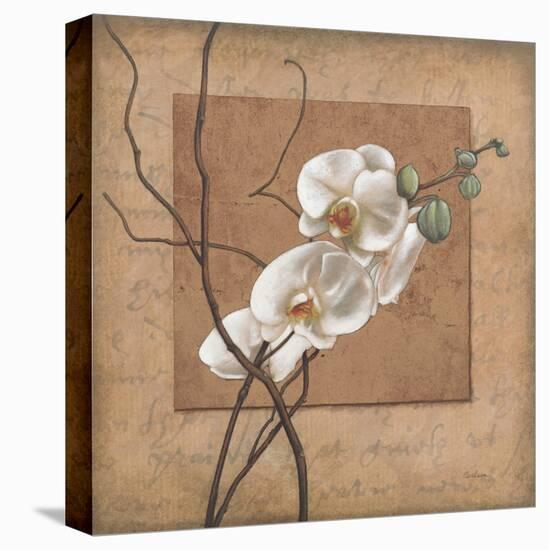 Golden Orchid II-Lee Carlson-Stretched Canvas