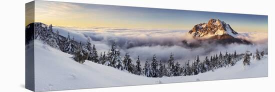 Golden Peak-Tomas Sereda-Premier Image Canvas