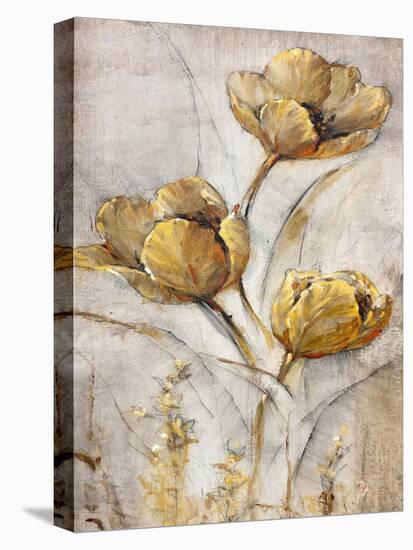 Golden Poppies on Taupe I-Tim O'toole-Stretched Canvas