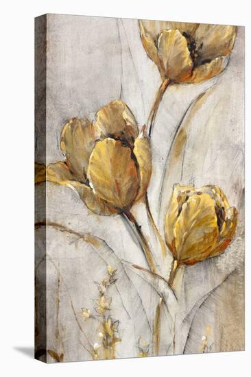 Golden Poppies on Taupe I-Tim OToole-Stretched Canvas