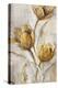 Golden Poppies on Taupe I-Tim OToole-Stretched Canvas