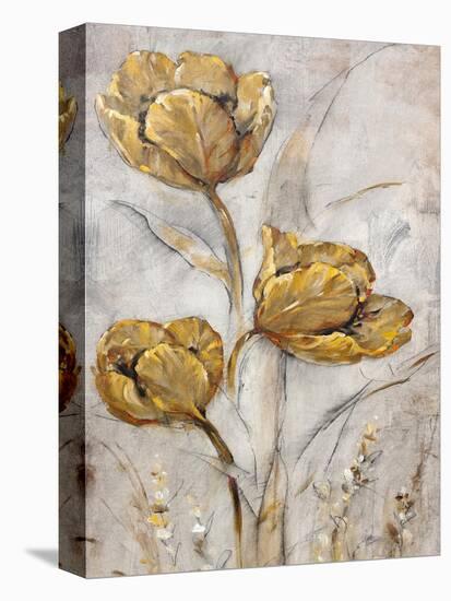 Golden Poppies on Taupe II-Tim O'toole-Stretched Canvas