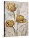 Golden Poppies on Taupe II-Tim O'toole-Stretched Canvas