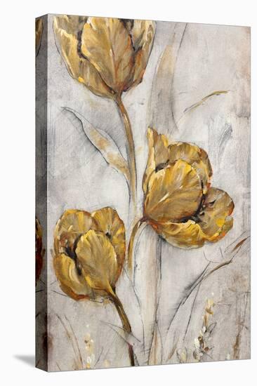 Golden Poppies on Taupe II-Tim OToole-Stretched Canvas