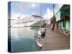 Golden Princess Cruise Ship Docked in St. John's, Antigua, Caribbean-Jerry & Marcy Monkman-Premier Image Canvas